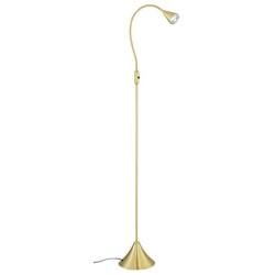 HomeFocus LED Floor Lamp Light,Living Room Lamp Light,Bedroom Lamp Light,Metal,Flexible Gooseneck LED 5W,3000K,Brushed Brass,Energy Efficient Super Bright for Home and Hotel.