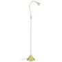 HomeFocus LED Floor Lamp Light,Living Room Lamp Light,Bedroom Lamp Light,Metal,Flexible Gooseneck LED 5W,3000K,Brushed Brass,Energy Efficient Super Bright for Home and Hotel. HomeFocus LED Floor Lamp Light,Living Room Lamp Light,Bedroom Lamp Light,Metal,Flexible Gooseneck LED 5W,3000K,Brushed Brass,Energy Efficient Super Bright for Home and Hotel.