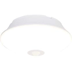 Energizer 39677 Motion-Activated LED Ceiling Light, 1 Pack, 300 lumens