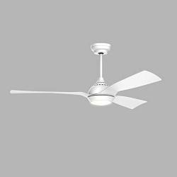 reiga 52-Inch DC Motor Ceiling Fan with Light & Remote,3 White Blade Suit for Indoor/Outdoor,6-speed, 3 Color Temperature Switch