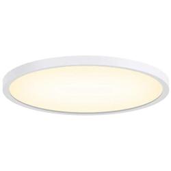 LED Ceiling Light TanKing Flush Mount 9.05 Inches 3000K 24W Disc Light, 2160LM Round Panel Light for Living Room, Kitchen, Bedroom, Hallway, Hotels and Offices (Soft White)