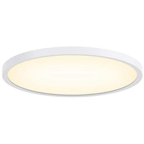 LED Ceiling Light TanKing Flush Mount 9.05 Inches 3000K 24W Disc Light, 2160LM Round Panel Light for Living Room, Kitchen, Bedroom, Hallway, Hotels and Offices (Soft White)
