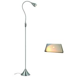 HomeFocus LED Floor Lamp Light,Living Room Floor Lamp Light,Bedside Floor Lamp Light,Metal, Satin Nickel,Flexible Gooseneck,LED4.2-5W,3000K Warm White,Top Quality,Energy Efficient,Super Bright.