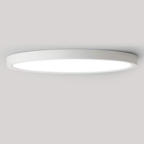 LVL Flush Mount 12 Inch Ceiling Light Fixture (Matte White), 5000K Daylight 24W LED Modern Surface Mount Ceiling Lamp Indoor for Bedroom Living Room Hallway Kitchen Office Easy Install