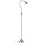 HomeFocus LED Floor Lamp Light,Living Room Floor Lamp Light,Bedside Floor Lamp Light,Metal, Satin Nickel,Flexible Gooseneck,LED4.2-5W,3000K Warm White,Top Quality,Energy Efficient,Super Bright.