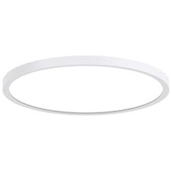 LED Ceiling Light TanKing Flush Mount 9.05 Inches 6500K 24W Disc Light, 2160LM Round Panel Light for Living Room, Kitchen, Bedroom, Hallway, Hotels and Offices (Daylight White)