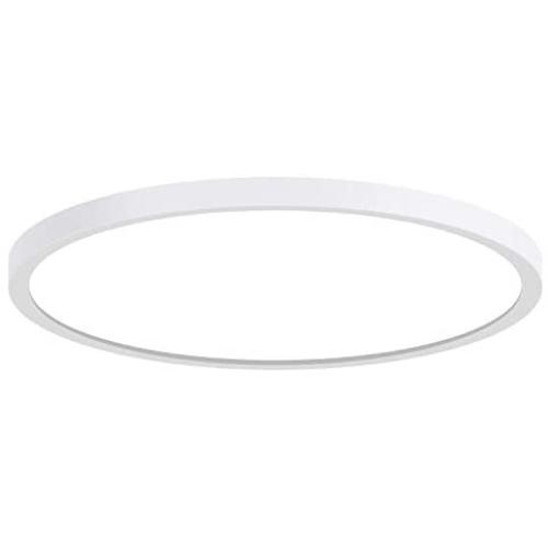 LED Ceiling Light TanKing Flush Mount 9.05 Inches 6500K 24W Disc Light, 2160LM Round Panel Light for Living Room, Kitchen, Bedroom, Hallway, Hotels and Offices (Daylight White)