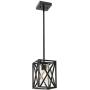 TODOLUZ 1-Light Farmhouse Pendant Light Black Cage Hanging Ceiling Lights with Clear Glass Shade for Kitchen Hallway Dining Room Foyer Bedroom