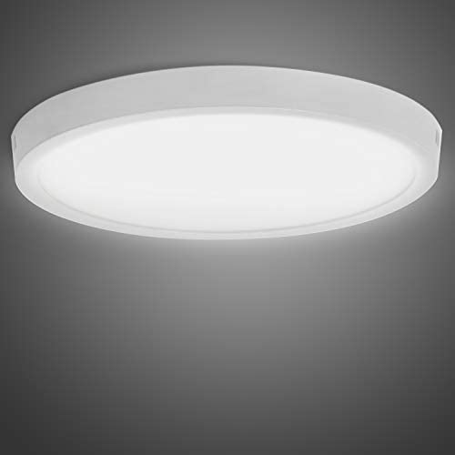 Broadroad 24W LED Ceiling Light, 11.2 Inch with 5000K 2400lm Modern Flush Mount LED Ceiling Lamp, Round Surface Mount Lighting Fixture for Bedroom, Kitchen, Hallway, Closet, Dining Room (24W-5000K)