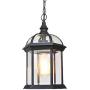 LITFAD Black Lantern Ceiling Hanging Light with Clear Glass Shade 1 Bulb 8'' L Vintage Outdoor Waterproof Lighting Industrial Pendant Light for Dining Room Restaurant Bar Courtyard