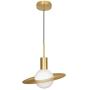 IJ INJUICY Globe Pendant Light with Glass Shade, Brushed Brass Finish, LED Hanging Light Fixture for Kitchen Island Dining Room Living Room Bar