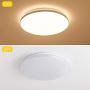 15.4 Inch Modern LED Flush Mount Ceiling Light Round 30W 2580lm Dimmable for Bedroom Dining Room Kitchen,Warm White 3000K