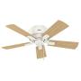 HUNTER 52152 Crestfield Indoor Low Profile Ceiling Fan with LED Light and Pull Chain Control, 42'', Fresh White