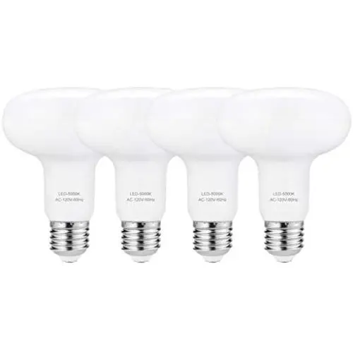 LED BR30 Dimmable E26 Light Bulbs, 12W = 100 Watt Incandescent Bulbs, Daylight LED Light Bulb 5000K, 1200 Lumens, Indoor LED Flood Lights, Pack of 4