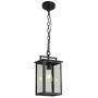 Smeike Outdoor Pendant Light Exterior Hanging Lantern, 1-Light Outdoor Pendant Lighting for Porch, Matte Black Finish with Clear Glass, Height Adjustable