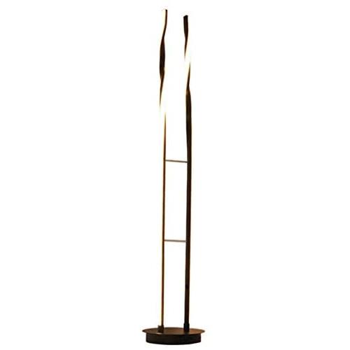 BXZ Floor Lamp Remote Control Dimmable Led 40W Nordic Fashion Black Double Straight Pole Spiral Curve Vertical Standing Lamp 1.25M for Living Room Bedroom Office Reading