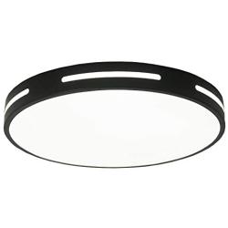 Ganeed LED Flush Mount,Modern Ceiling Lights Fixtures Round Hollow,6500K Cool White Living Room Ceiling Lamp,24W 12 Inch Energy Efficient Lighting for Dining Room Kitchen Hallway,Black