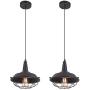 Heircido 2 Pack Industrial Cage Pendant Light Vintage Farmhouse Hanging Light Fixtures for Kitchen Dining Room, Restaurant, Hallway,Entryway, Matte Black Heircido 2 Pack Industrial Cage Pendant Light Vintage Farmhouse Hanging Light Fixtures for Kitchen Dining Room, Restaurant, Hallway,Entryway, Matte Black
