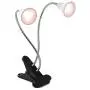 14W LED Grow Light, New Dual Head Desk Clip Lamp Warm White Light with Swivel 360 Degree Adjustable Gooseneck and One Switch, Warmwhite Comfortable Light for Indoor Plants at Home and Office