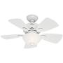Hunter Fan 34 inch Snow White Finish Ceiling Fan with Painted Cased White Glass Light Kit (Renewed)