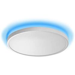 TALOYA LED Flush Mount Ceiling Light with Backlight 12 Inch 24W Surface Mount Light Fixture Ice Blue for Girl Boy Party Bedroom Living Room