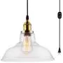 HMVPL Industrial Plug in Edison Pendant Light, Rustic Mini Swag Hanging Lighting Fixture with Clear Glass Shade for Kitchen Island Dining Room Living Room Bedroom Hallway