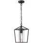 Emliviar Modern Outdoor Pendant Light, 1-Light Outdoor Hanging Lantern Light in Balck Finish with Clear Glass, 20065H BK Emliviar Modern Outdoor Pendant Light, 1-Light Outdoor Hanging Lantern Light in Balck Finish with Clear Glass, 20065H BK