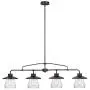 Globe Electric 65382 Nate 4-Light Pendant, Oil Rubbed Bronze, Clear Glass Shades