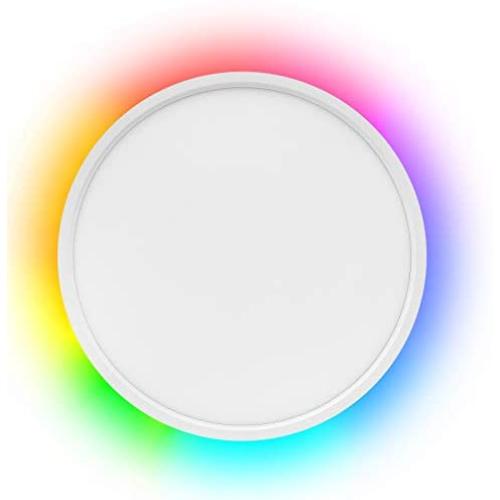 Smart LED Flush Mount Ceiling Light WiFi, Compatible with Alexa Google Home, 12inch 24W 2000LM Adjustable Light with Ambient Light Fixture for Bedroom Living Room Dining Hall Party