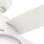 Hunter Dempsey Indoor / Outdoor Ceiling Fan with LED Light and Remote Control, 52'', White