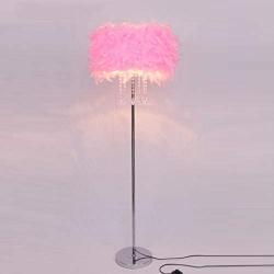 GDLight Crystal Feather Floor Lamp Romantic Fluffy Feather Standing Lamp Modern Bedside Reading Lamp for Living Room Bedroom E27 (White, Pink, Blue, Red),Pink