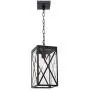 MELUCEE Indoor Outdoor Pendant Light Black Finish, 1-Light Exterior Hanging Light Fixtures Ceiling Lantern with Clear Glass for Porch Hallway Entryway