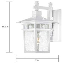 Nuvo Lighting 60/4951 Cove Neck One Light Wall Lantern/Arm Down 100 Watt A19 Max. Clear Seeded Glass White Outdoor Fixture