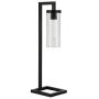 Henn&Hart TL0137 Modern Industrial Bedside Shade in Contemporary Blackened Bronze for Bedroom, Living Room, Office Table Lamp, Black/Seeded Glass