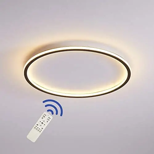SviDau 12 Inch Dimmable Flush Mount Ceiling Light Fixture with Remote Control, 36W 3000K-6500K Color Changing LED Ceiling Light for Bedroom Kitchen Hallway Closet Room SviDau 12 Inch Dimmable Flush Mount Ceiling Light Fixture with Remote Control, 36W 3000K-6500K Color Changing LED Ceiling Light for Bedroom Kitchen Hallway Closet Room