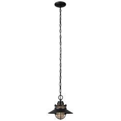 Globe Electric 44166 Liam 1-Light Outdoor/Indoor Pendant, Black, Matte Finish