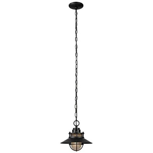 Globe Electric 44166 Liam 1-Light Outdoor/Indoor Pendant, Black, Matte Finish