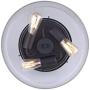 Canarm LTD ISF633A03ORB Nash 3 Bulb Semi-Flush Mount, Oil Rubbed Bronze with Seeded Glass, 3 Light
