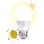 LED+ Dusk to Dawn Light Bulbs, A19, Outdoor LED Light Bulbs, 60-Watt Replacement, Soft White, Medium Base, Sunlight Sensor Light Bulbs, Outdoor Light Bulbs, 1-pack Damp Rated