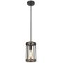 Eapudun Farmhouse Pendant Light, 1-Light Metal Wire Cage Hanging Lantern, Matte Black and Wood Finish, PDA1141-FBDT
