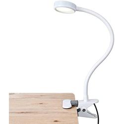 LEPOWER Metal Clip on Light/ Reading Light/ Light Color Changeable/ Night Light Clip on for Desk, Bed Headboard and Computers (White)