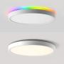 2-in-1 Smart LED Flush Mount Ceiling Light + Backlight, WiFi, Works with Alexa,Google Home,12 Inch, 24W(200W Equivalent) 2000 LM LED Ceiling Lamp Fixture for Bedroom, Living, Fully Dimmable by APP