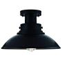 Addington Park 31801 Seascape Collection 1-Light Contemporary Barnyard Outdoor Flush Mount, Black