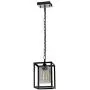 SYDTOP Modern Clear Crackle Glass Pendant Light with Chain Black Industrial Metal Hanging Light Fixture Rustic Mini Cage Pendant Lighting for Kitchen Island Sink Dining Room Counter Bar Farmhouse