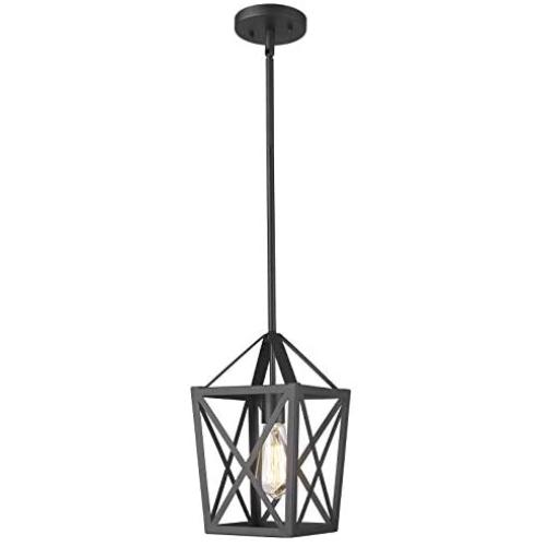 Zeyu Ceiling Pendant Light, Industrial Hanging Light Fixture with Metal Cage in Black Finish, ZD18 M1L