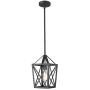 Zeyu Ceiling Pendant Light, Industrial Hanging Light Fixture with Metal Cage in Black Finish, ZD18 M1L