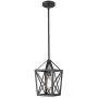 Zeyu Ceiling Pendant Light, Industrial Hanging Light Fixture with Metal Cage in Black Finish, ZD18 M1L