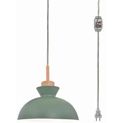 STGLIGHTING Wooden Socket Pendant Light with 15ft Plug-in UL On/Off Dimmer Switch Cord Macaron Green Lampshade Light Fixtures Nordic Minimalist Loft Style Lamps for Dining Room Bulbs Not Included