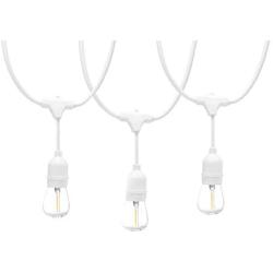 Amazon Basics 24-Foot Commercial Grade Outdoor String Lights with 8 S14 Edison Style 1-Watt LED Bulbs - Soft White & White Cord