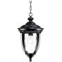 Bellagio Traditional Outdoor Ceiling Light Hanging Texturized Black 18'' Clear Hammered Glass Damp Rated for Exterior House - John Timberland
